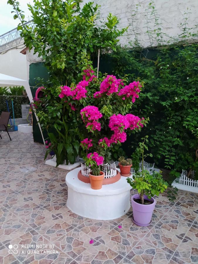 Lucy'S House Daire Limenas  Dış mekan fotoğraf